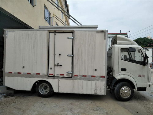 神陽(yáng)新能源 增城智造，以安全可靠定義小型物流車新標(biāo)桿