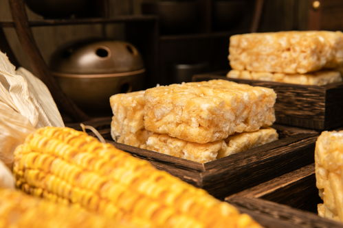 沙琪瑪?shù)奶墙z與謎影 一場關(guān)于無脊椎動(dòng)物的味覺奇思